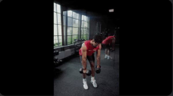 Dumbbell Bent Over Row