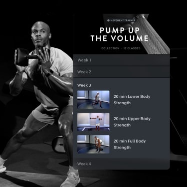 guide progressive strength programs